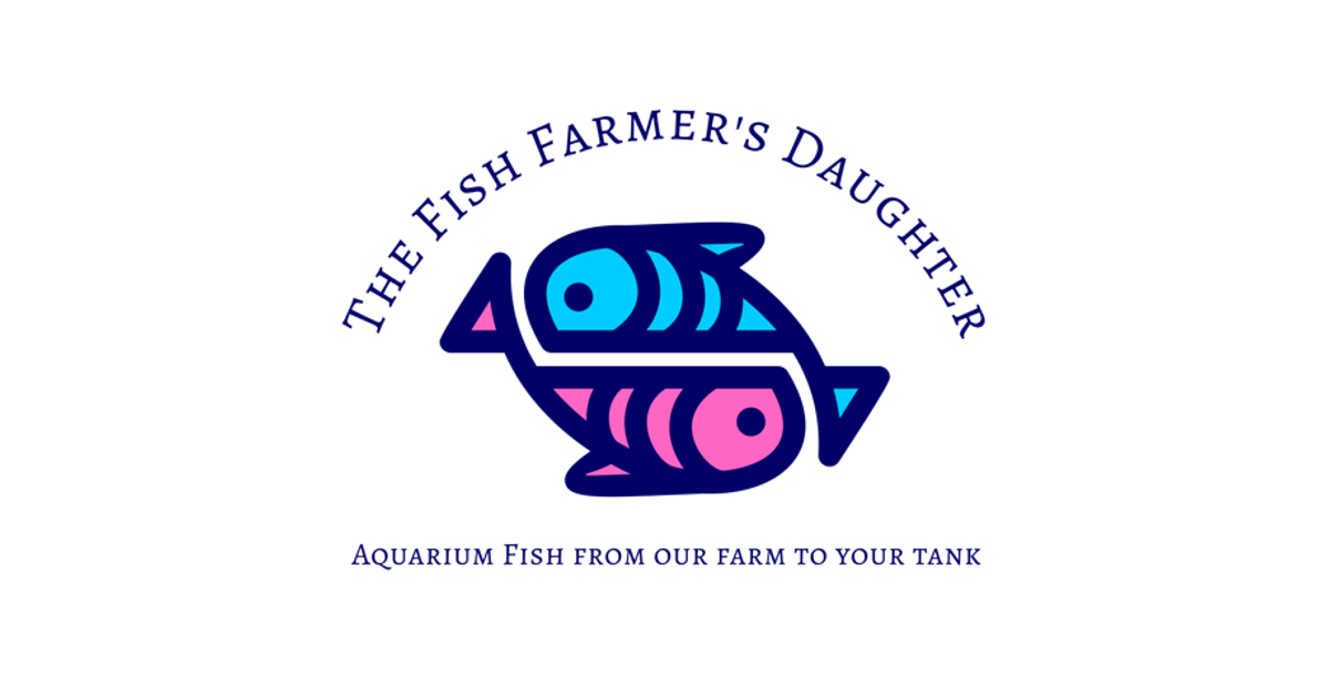 farmers daughter fishing lure Mansfield Knockers Topwater KWigglers The small spinner blades create a tremendous vibration in the water Buy Live Freshwater Fish Online