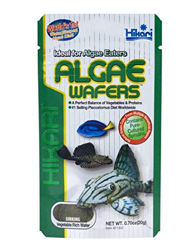 Hikari - Algae Wafers